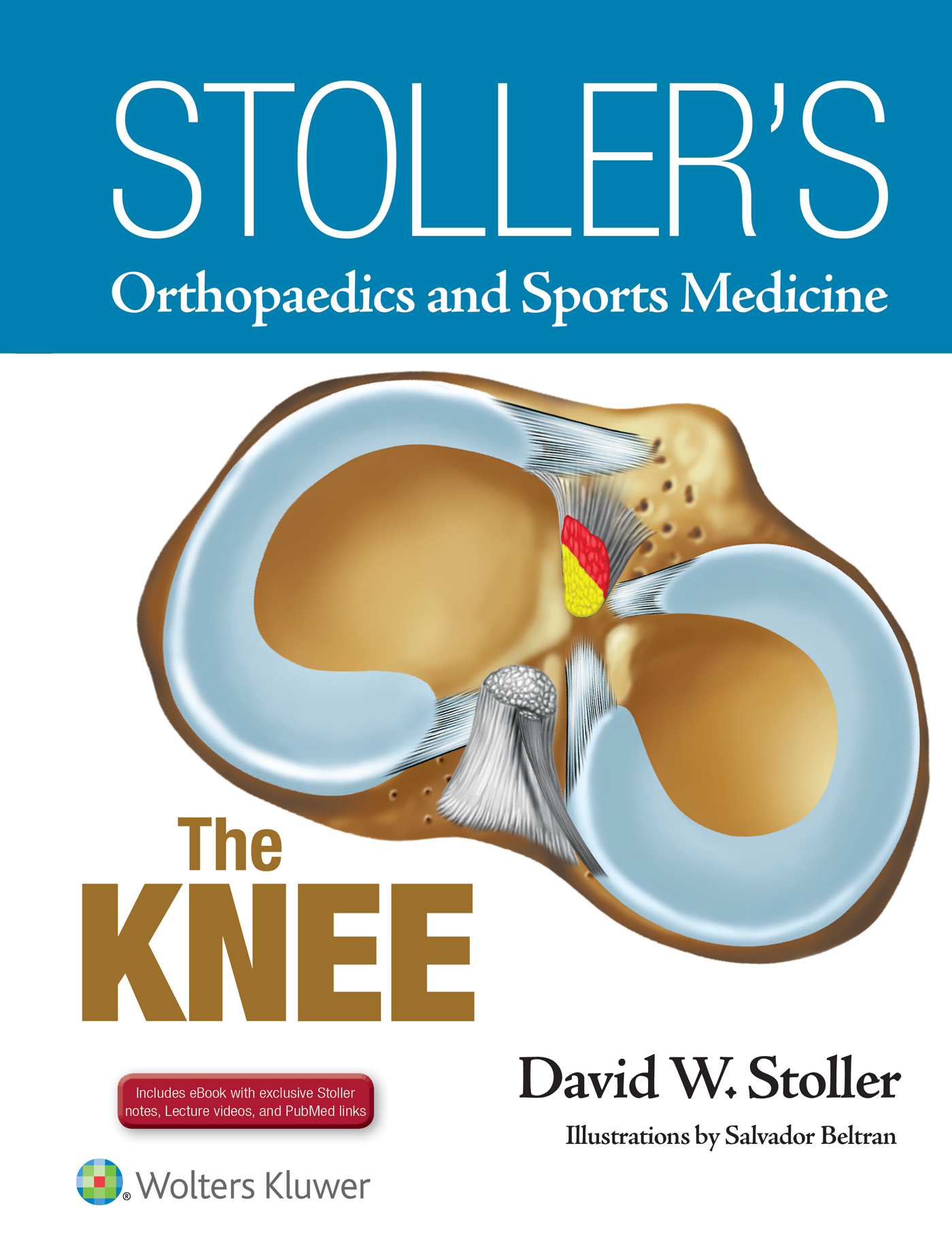 ISBN: 9781496318282 STOLLER'S ORTHOPAEDICS AND SPORTS MEDICINE: THE KNEE
